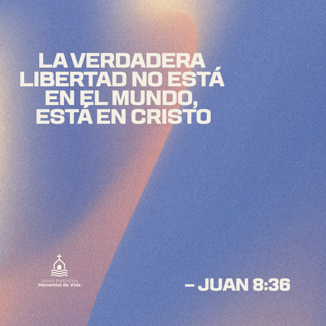 La verdadera libertad está en Cristo